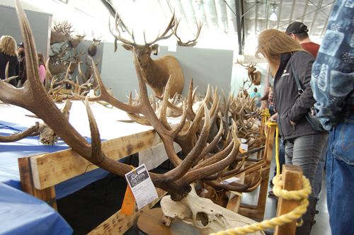 Big Horn Show Trophy Competition
